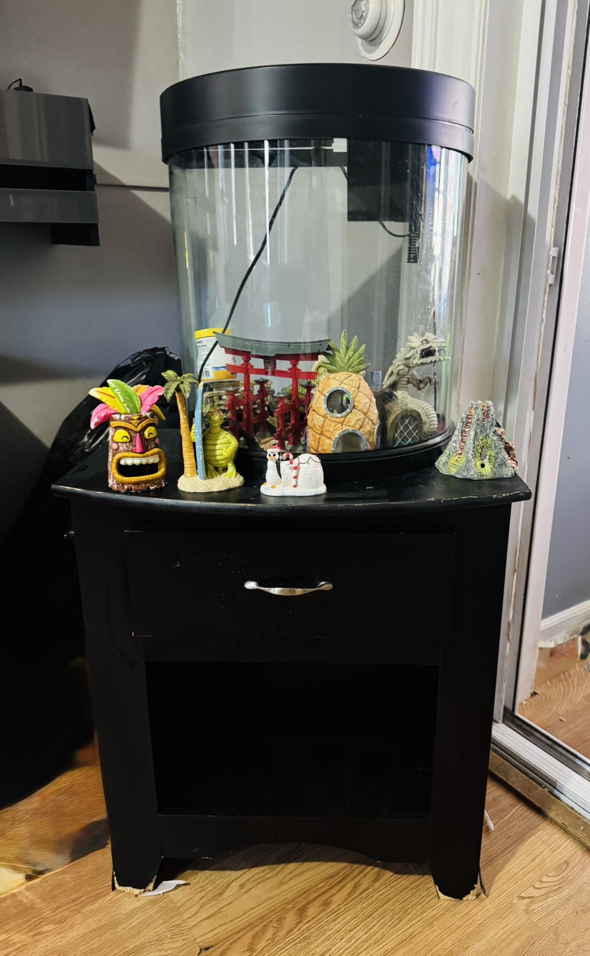 10 Gallon Fish Tank Neon Lights - Stand And Decorations And Filter