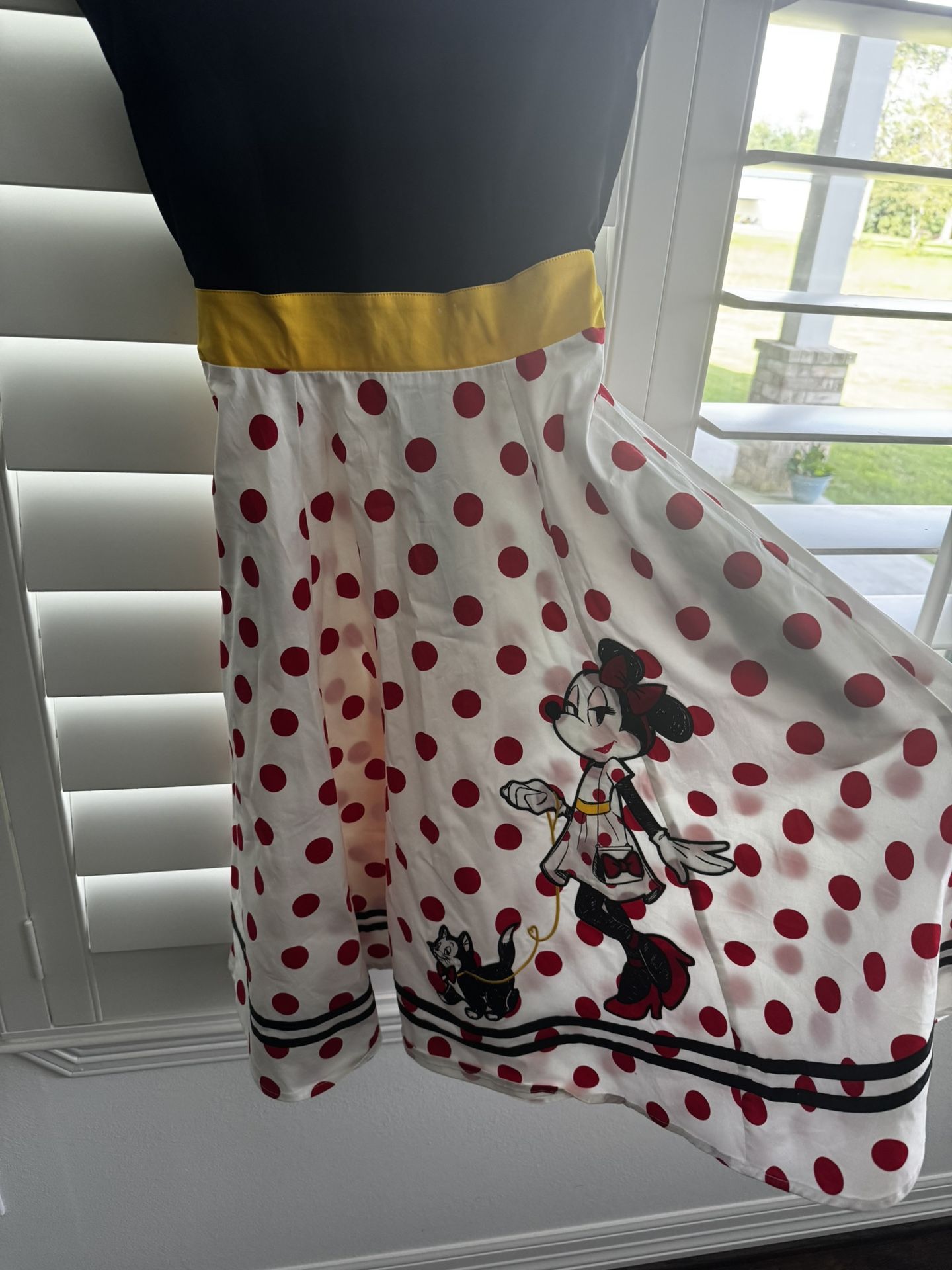 Disney dress