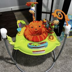 Baby Bouncer 