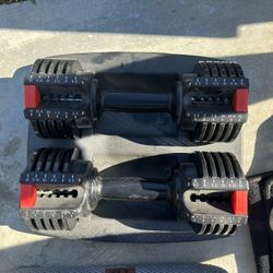 Adjustable Dumbbells 
