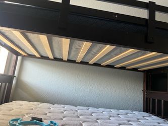 Bunk beds