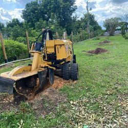 Stump Grinding Palms And Trees 