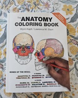 Anatomy Coloring Book