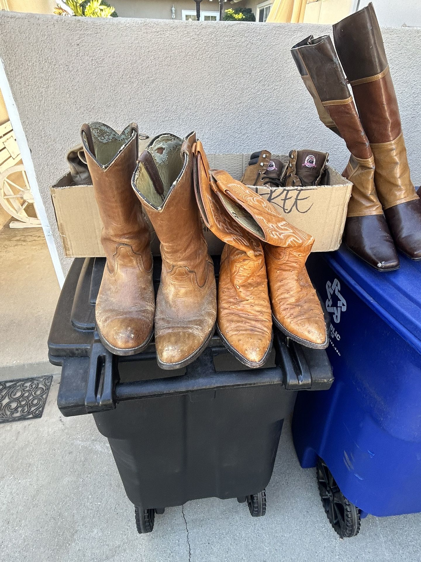 Boots