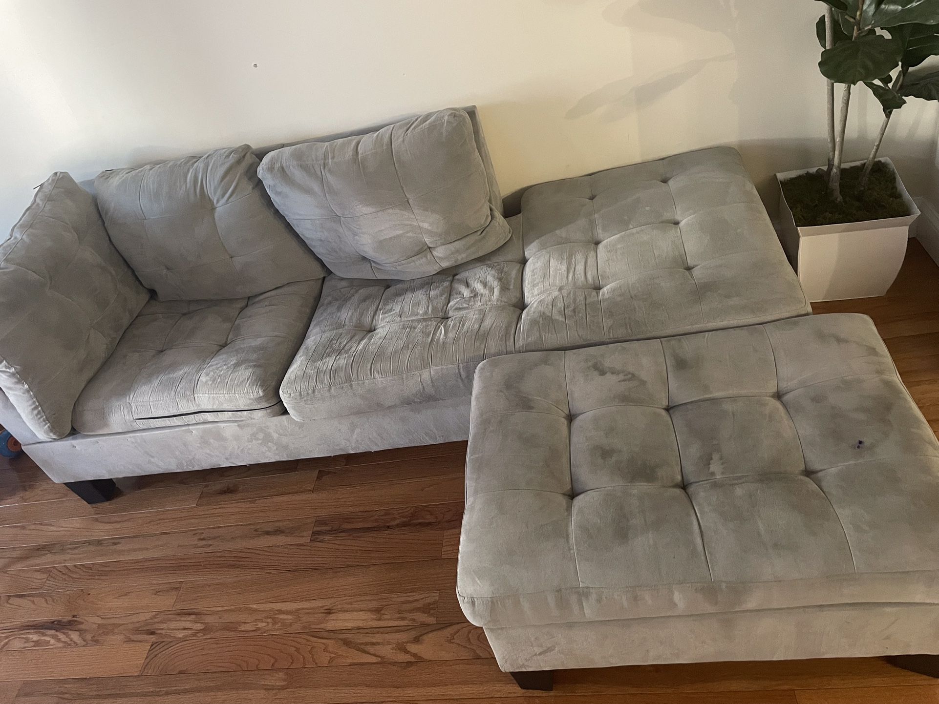 Amazon Couch 