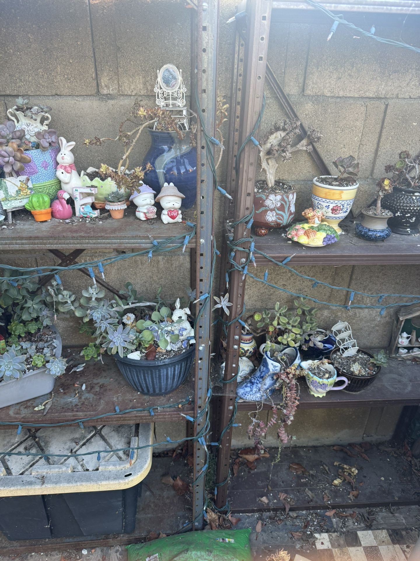 Free Pots For Plants And Shelf
