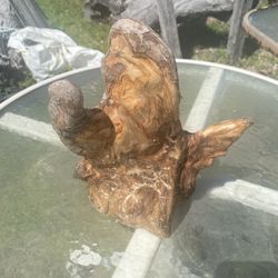 Florida Cypress Knee 11”