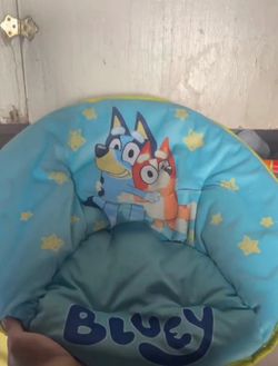 Bluey chair