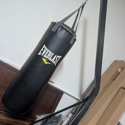 Everlast Punching Bag And Stand