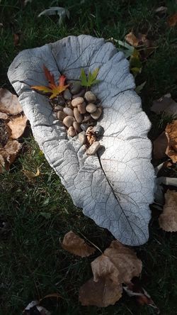 Fairy garden Concrete decor