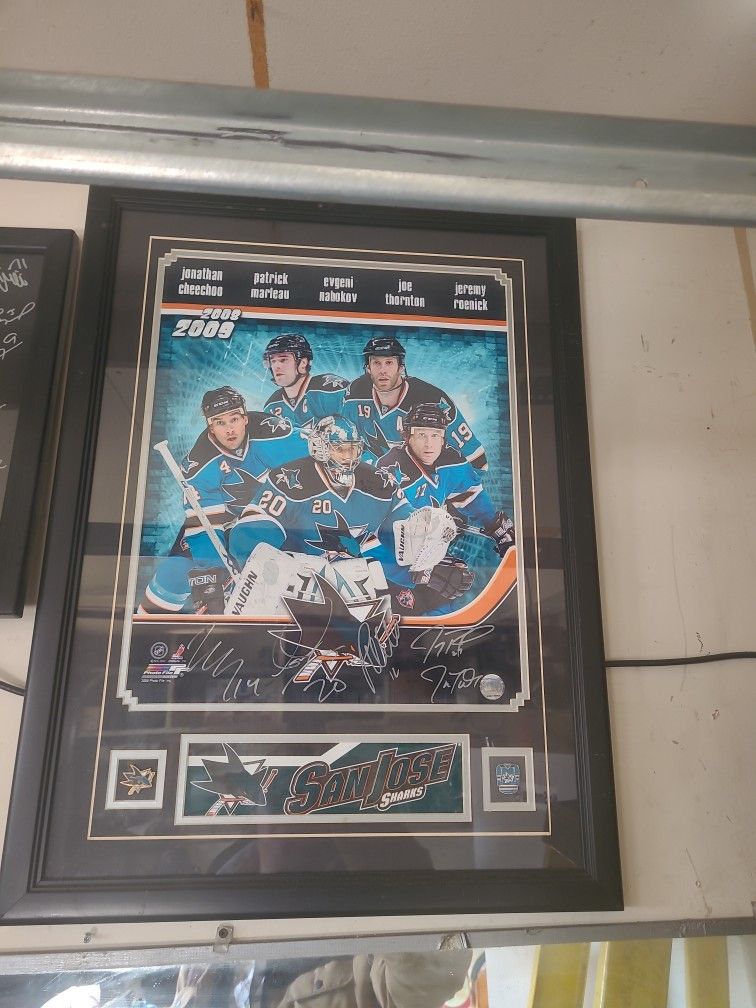 San Jose Sharks Sports Memobrilla