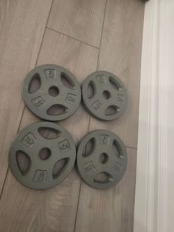 4 × 5 lb Weight Plates