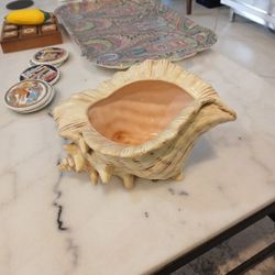 Atlantic Mold Conch Shell