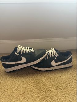 Nike dunks