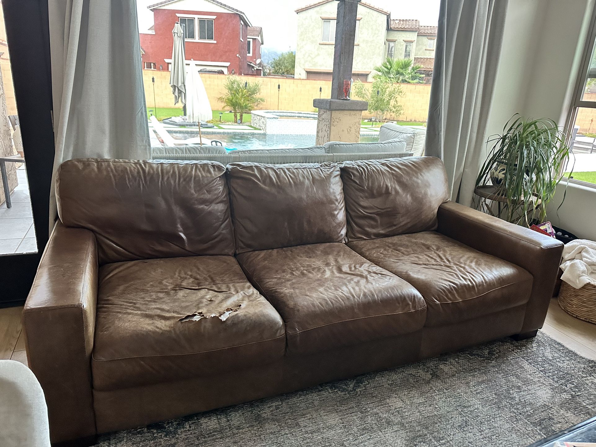 Free Couch
