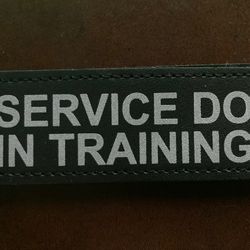 Service Dog In Training Patches