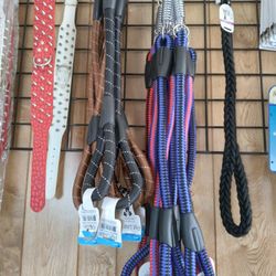 Leashes Collars