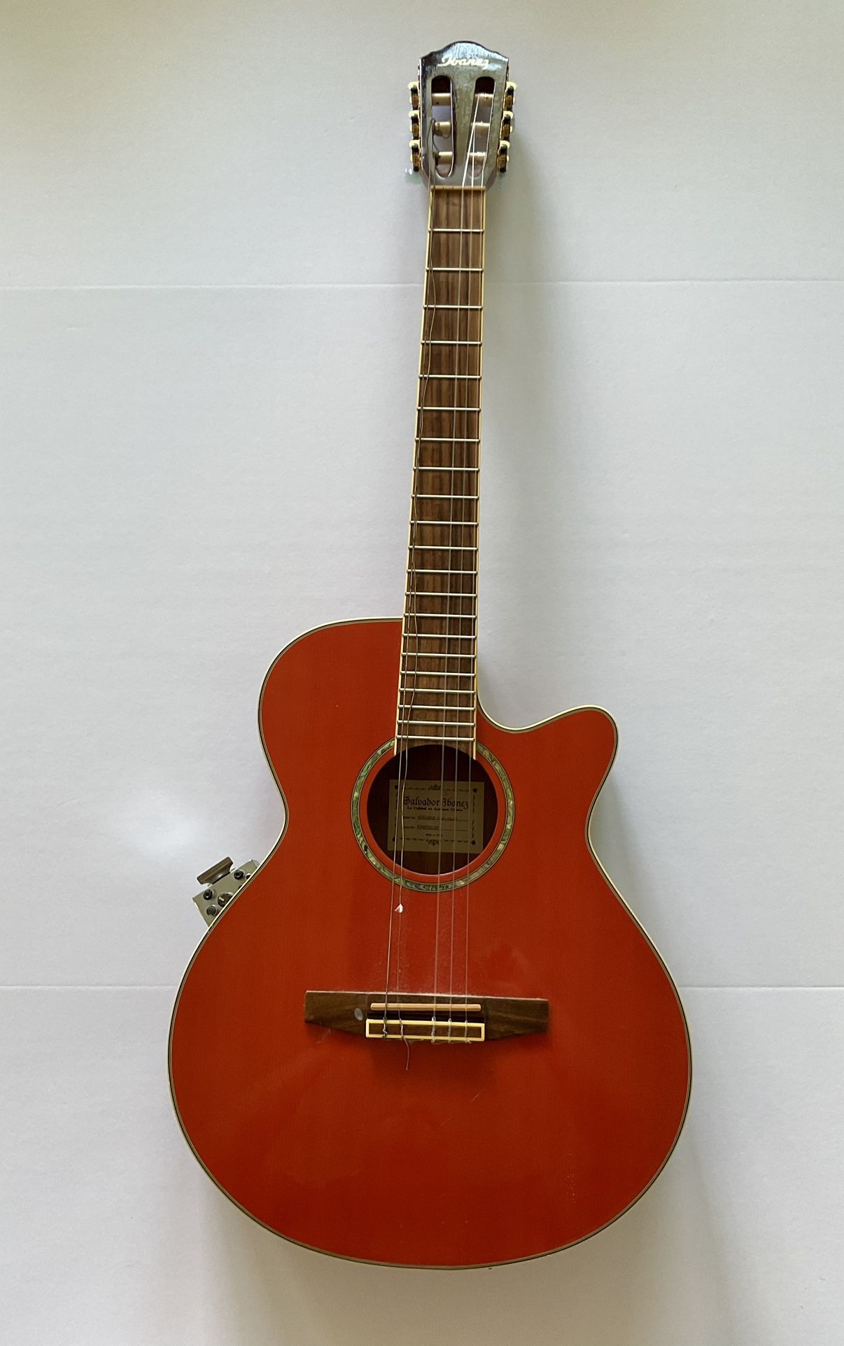 Salvador Ibanez AEG10NE Acoustic-Electric Guitar (Nylon Strings)