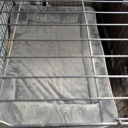 Ex Large Dog Kennel 