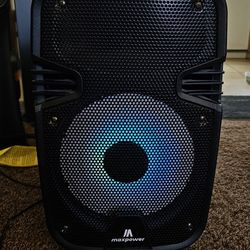 Speaker And Microphone