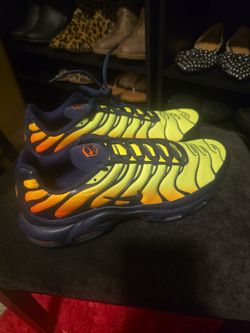 BRAND NEW IN BOX NIKE AIR MAX PLUS SIZE 11