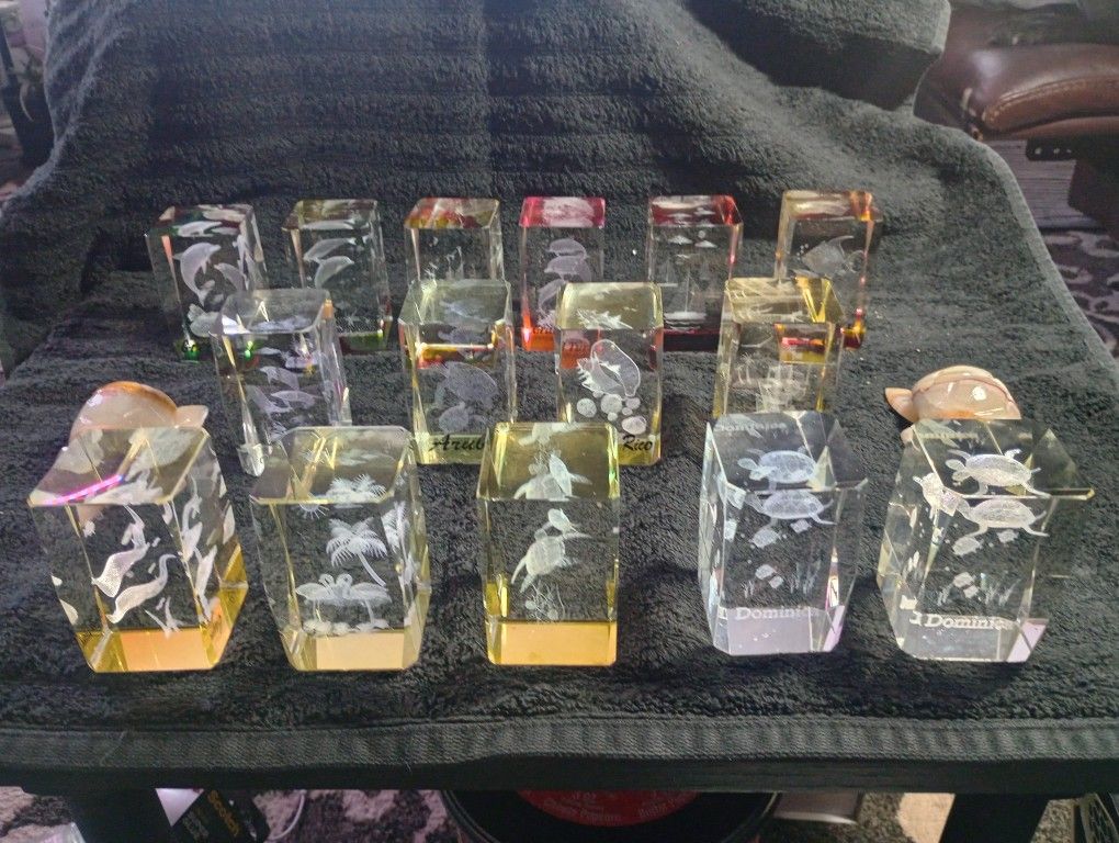 Acrylic Paper Weights With 3D Etchings With SeaLife Themes