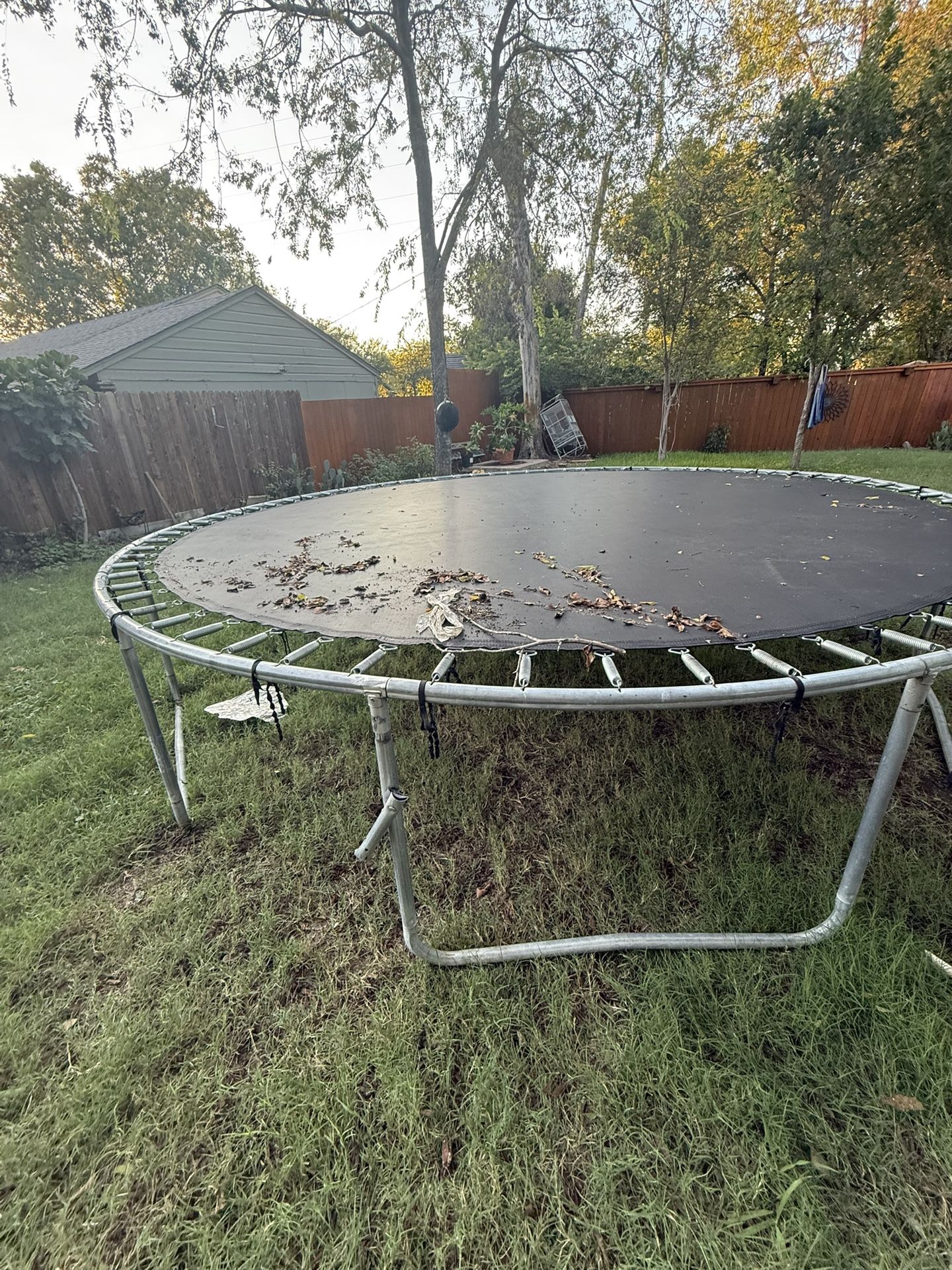Trampoline