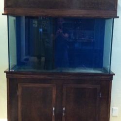150 Gallon Fish tank 