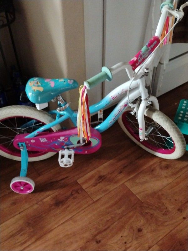Schwinn Little Girls Bike