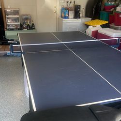 Ping Pong Table (Wilson)