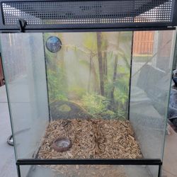 Terrarium From Petco 