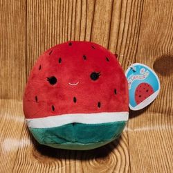Walgreens Exclusive Winsey the Watermelon Squishmallow