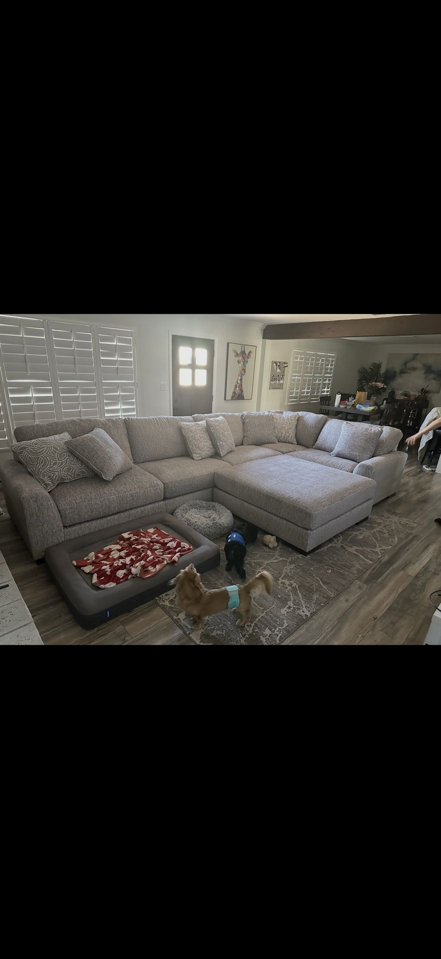 Large Sectional Couch
