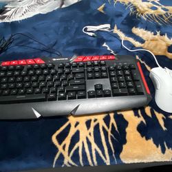 Keyboard and Mouse