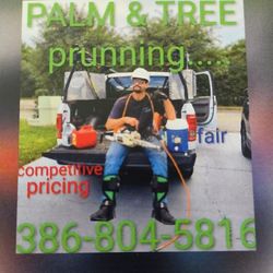 Palm and tree trim