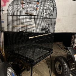 Bird Cage