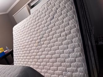 Organic Cotton Quilted Mattres