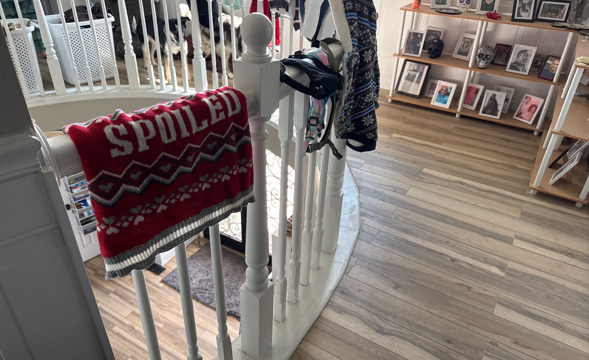 Dog Clothing For Small/medium