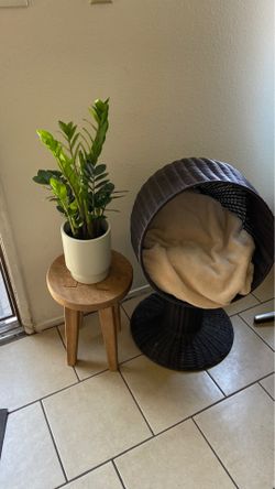 Cat wicker/rattan boho basket