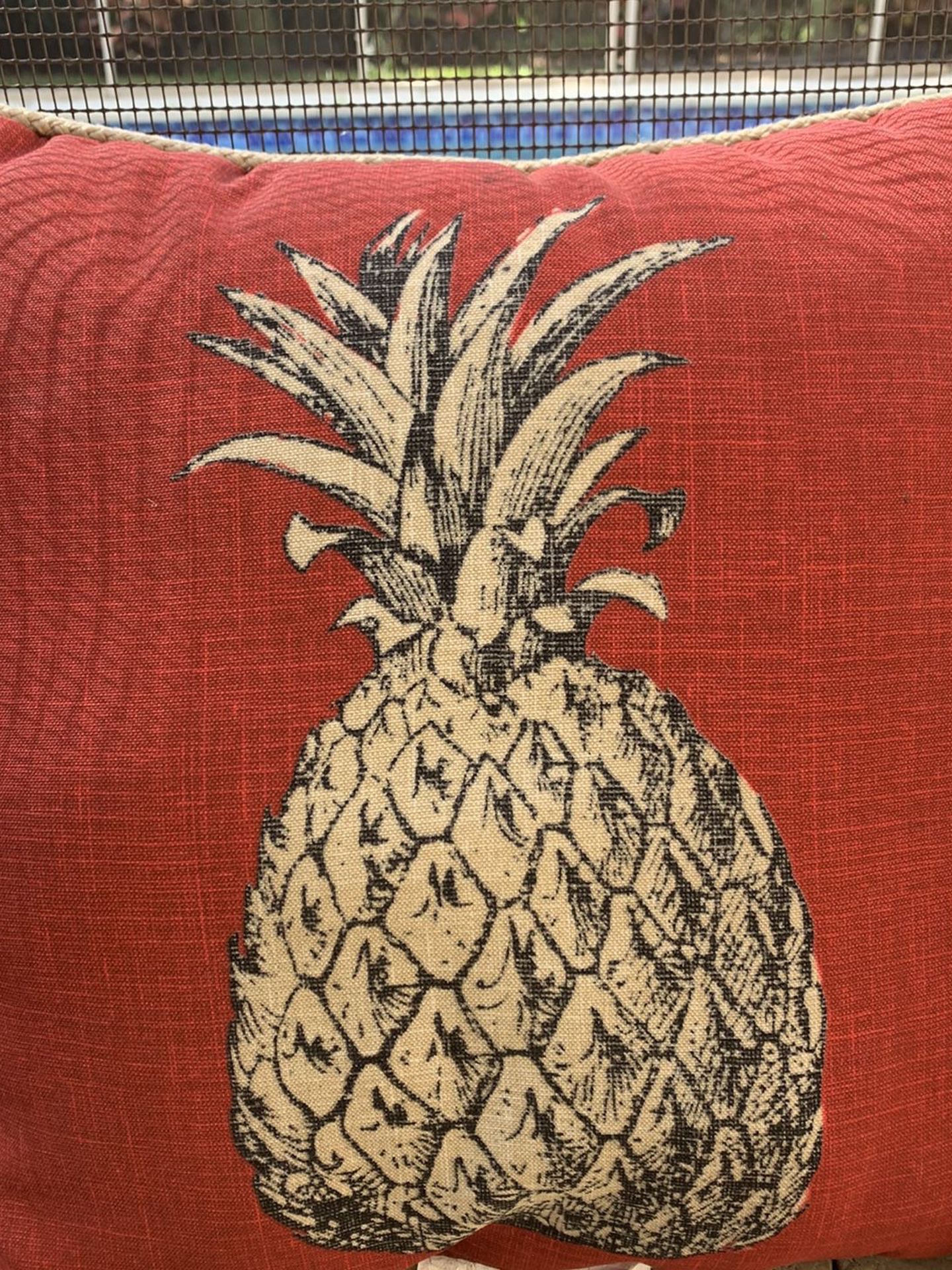 3 Pineapple Pool Side Pillows.