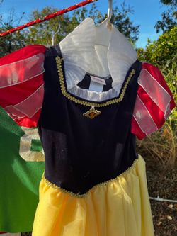 Disney princess dress