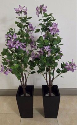 PAIR of 50" Faux Purple Hibiscuses in 16" Black Resin Planters (2 for $95) @ Lasting Creations