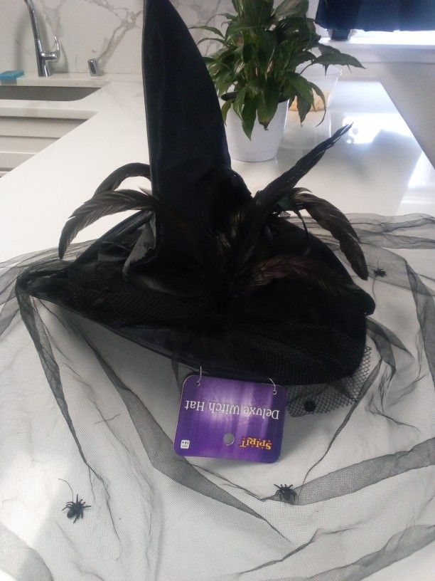 Halloween Witch Hat