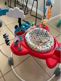 Baby Einstein jumper