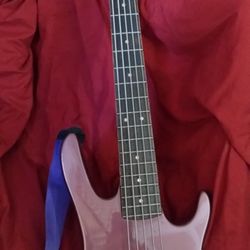 Washburn 5 String Bass Fender Pickups Amp