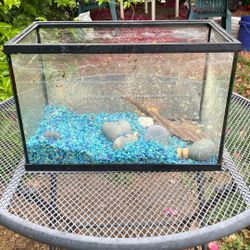 3.5 Gallon Fish Tank Aquarium 