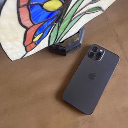 iPhone 12 Pro Max ( Unlocked) 128gb Gray Color