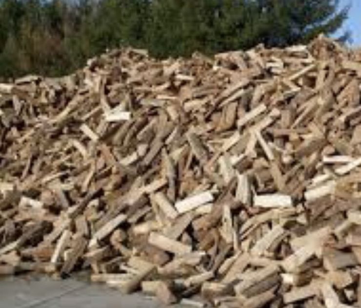 Firewood Fresh Cut