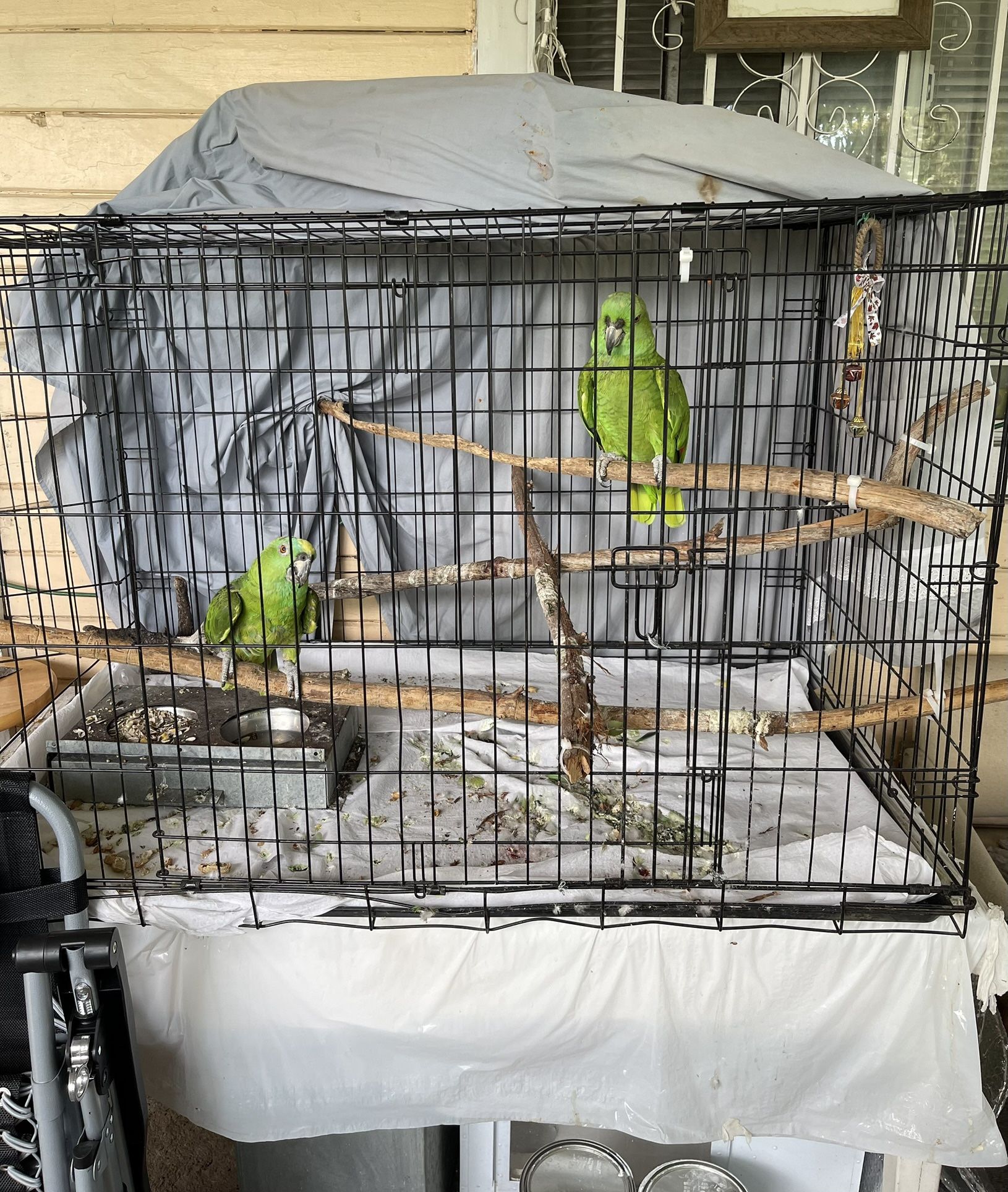 Parrot Cage