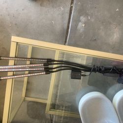 LED Light
